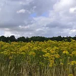 4 Star Holiday Home In Hejls