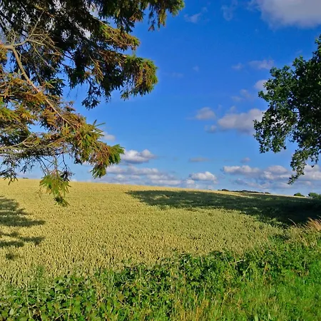 8 Person In Hejls-by Traum * Hejls