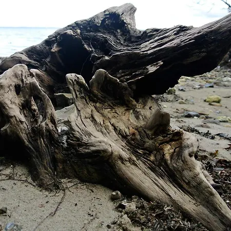 8 Person In Hejls-by Traum Casa vacanze *