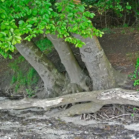 Casa vacanze 8 Person In Hejls-by Traum Hejls